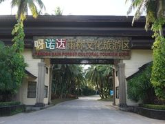 -呀诺达热带雨林