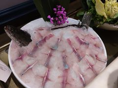 鲜活黑鱼-豆捞坊(金桥店)