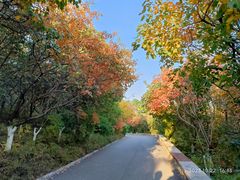 -千佛山风景名胜区