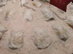 -客语客家菜(佳兆业广场店)