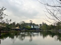 -成飞公园