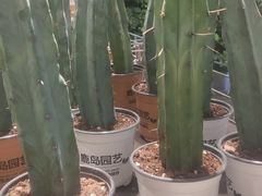 -鹿岛会员店 (龙湖三千集天街店)