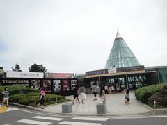 -济州岛泰迪熊博物馆