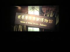 -环球时代影城(吉大店)