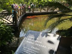 -南山植物园