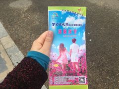 -松山湖梦幻百花洲