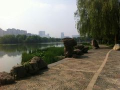 -洛阳市隋唐城遗址植物园