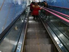 -大龙山(地铁站)