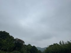 -习家池