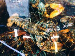 -盒马鲜生(莱蒙都会店)
