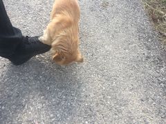 -乡乐园蟹庄·阳澄湖农家乐