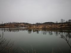 -东海森林温泉度假酒店
