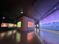 -罗红摄影艺术馆