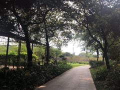 景点-南溪山景区