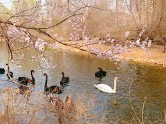 -长白岛森林公园