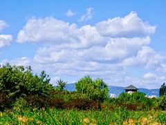 -永定河休闲森林公园