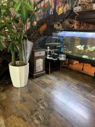 店内环境-日月刺青工作室·高端纹身