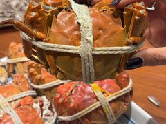 -丫丫蟹庄·苏式园林农家乐·阳澄湖大闸蟹(阳澄湖莲花岛店)