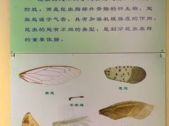-上海昆虫博物馆