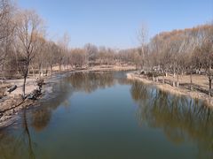 -南海子公园