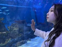-常州海昌海洋探索馆