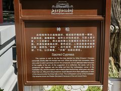 -北京市劳动人民文化宫(太庙)