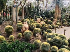 -北京植物园-展览温室