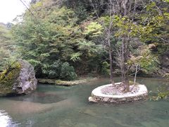 -黎坪国家森林公园
