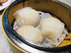 -糖朝(尖沙咀店)