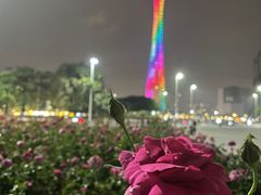 -海心沙亚运公园