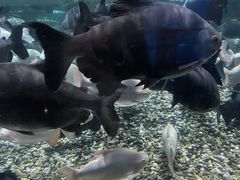 -成都浩海立方海洋公园