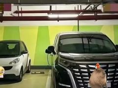 -淞虹路P+R停车场