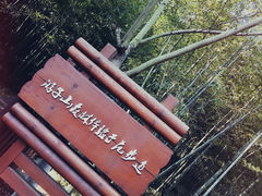 -游子山休闲旅游区