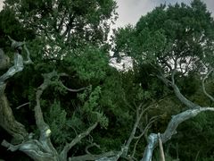 -草庵摩尼教遗址公园