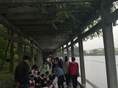 -西湖外事游船(花港观鱼码头)