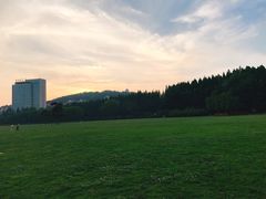 -汇泉广场