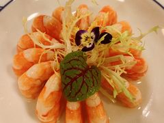 醉虾-伯衡55·吉品轩(乌鲁木齐南路店)