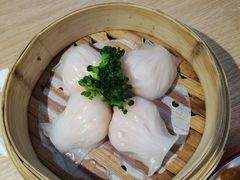 -南枝记