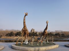 -北京野生动物园