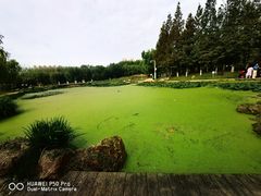 -前关湿地公园