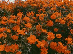 -映月湖中央公园