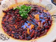 -陈麻婆豆腐(旗舰店)