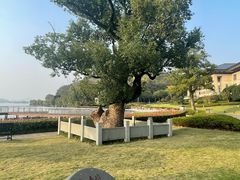 -东钱湖旅游度假区