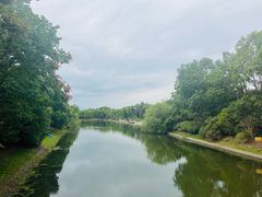 -上海海湾国家森林公园