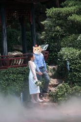 -JEFF STUDIO摄影摄像婚礼跟拍