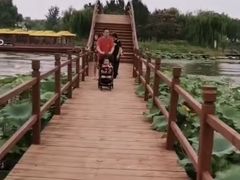 -白洋淀景区