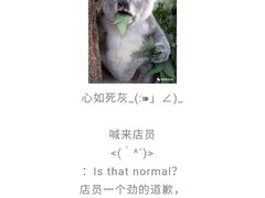 -上巴拉卡花园和下巴拉卡花园