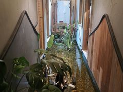 -邈墨茶馆(凤起路店)