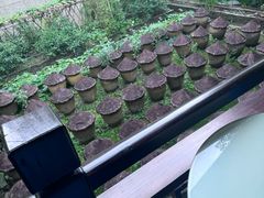 -鱼桥巷·美学川菜