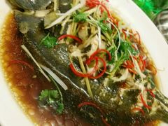 -烁佳海鲜大馅饺子